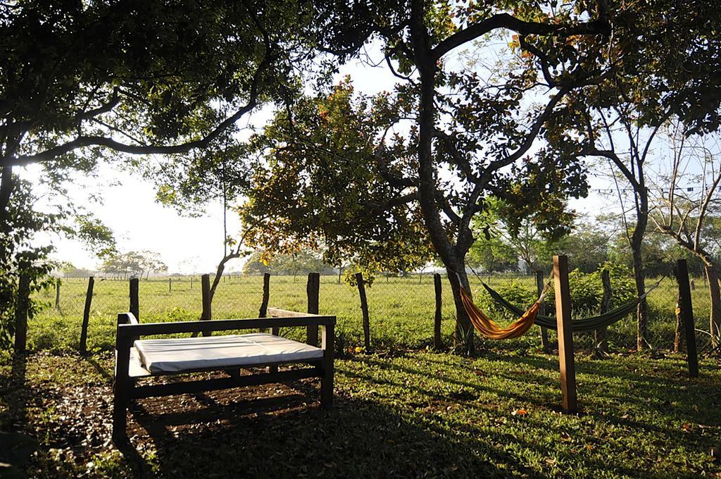Naturalmente Boutique Bungalows Y Cocina Mediterranea Las Lajas  Eksteriør billede