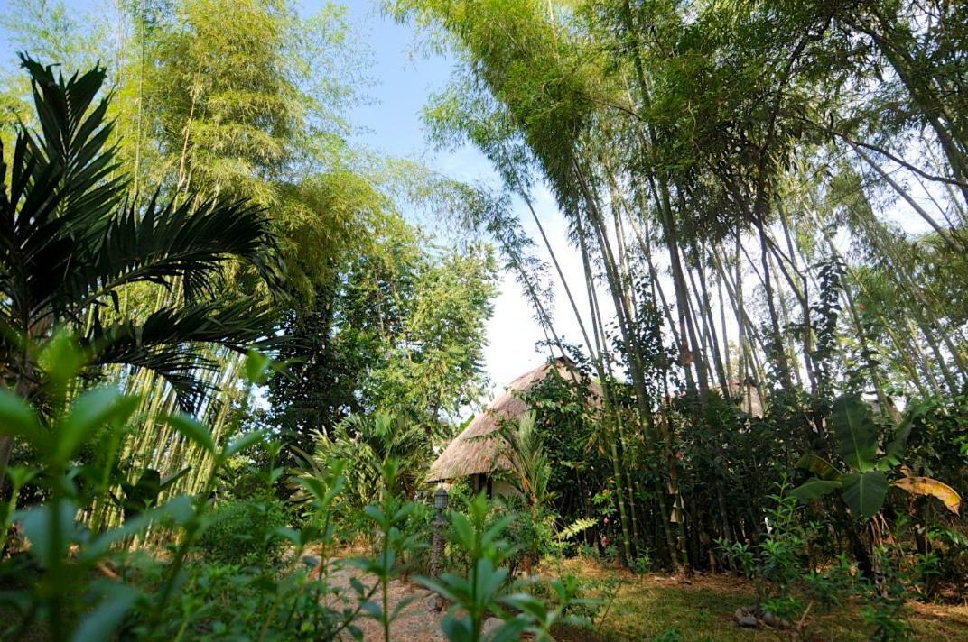 Naturalmente Boutique Bungalows Y Cocina Mediterranea Las Lajas  Eksteriør billede